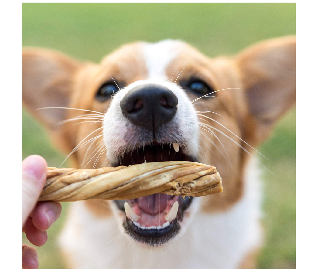 Nature Gnaws Tripe Twists 9-10 inch (10 Count) - 100% Natural Beef Dog Chew Treats